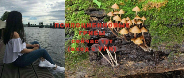 МДПВ Дмитровск